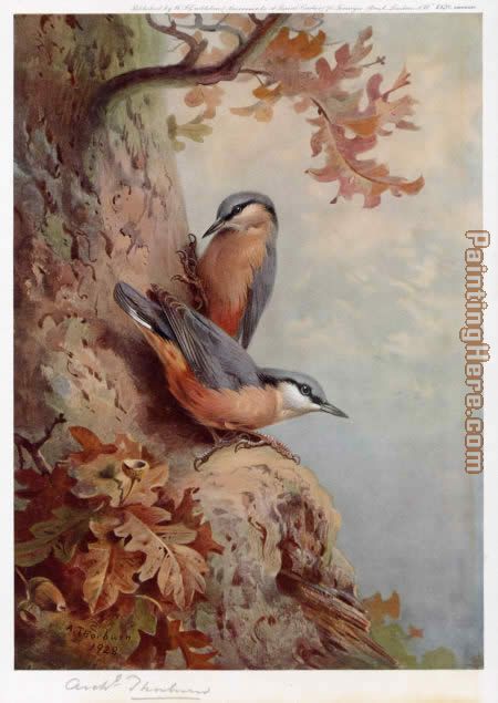 Nuthatches painting - Archibald Thorburn Nuthatches art painting
